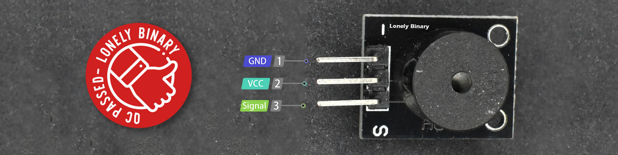 Lonely Binary Project Pinout